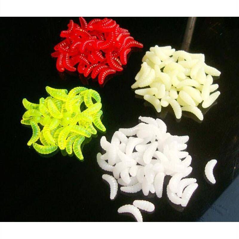 橙色的小虫子是什么虫子，你家有吗？快来看看吧！