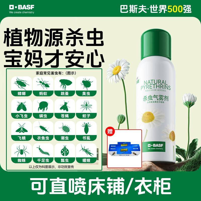 橙色的小虫子是什么虫子，你家有吗？快来看看吧！