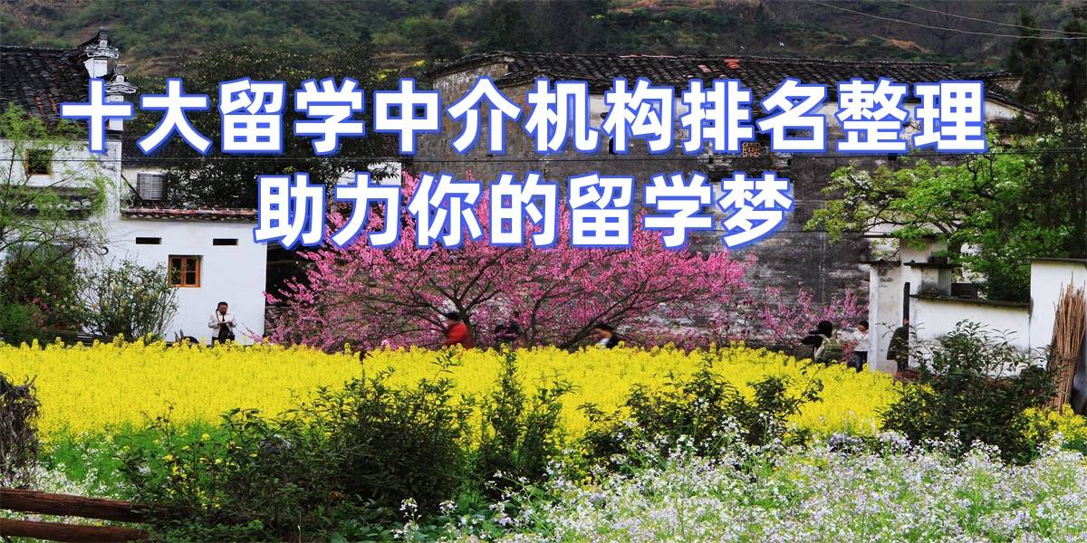 北京留学中介咨询公司有哪些