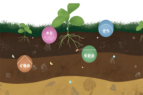 沧州土壤专业检测机构公司有哪些