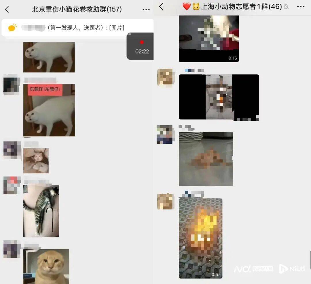 被指惨不忍睹！微信群涌入大量不明人士，突然“炸群”！广东一地警方介入