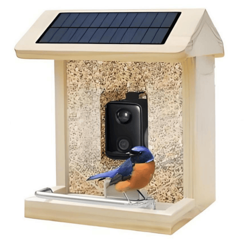 2W以下太阳能贴片（SMT) 迪晟能源在行业中有哪些优势？