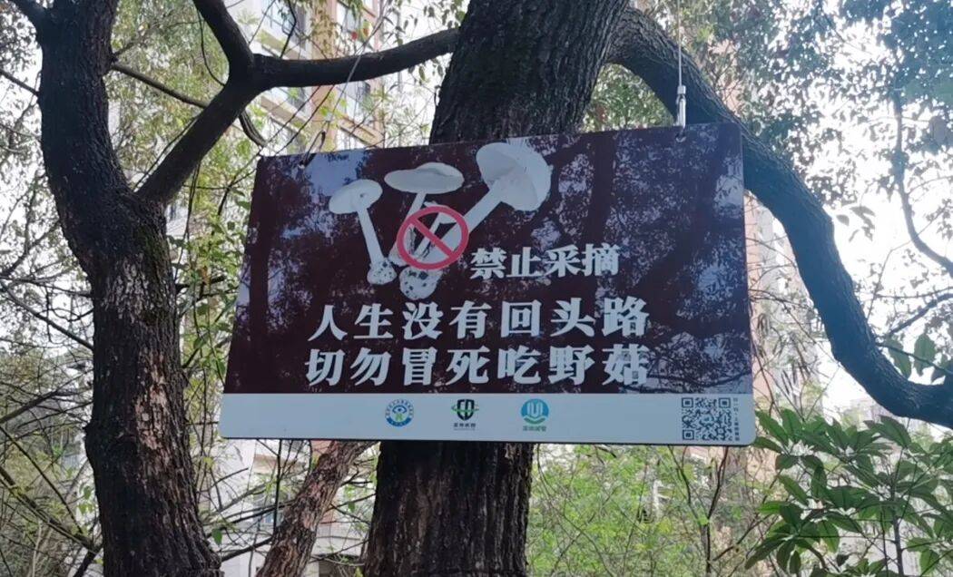 深圳一对夫妻深夜双双入院!一周内12人中招!近期很常见,千万别碰