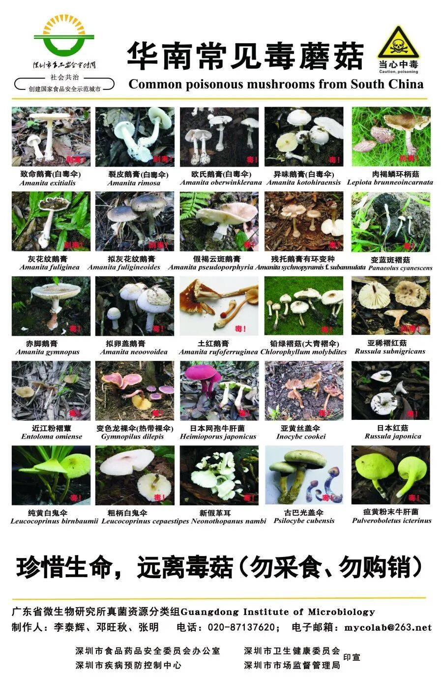 深圳一对夫妻深夜双双入院!一周内12人中招!近期很常见,千万别碰