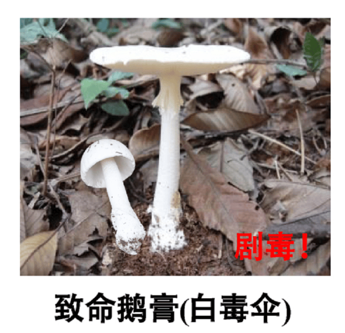 深圳一对夫妻深夜双双入院!一周内12人中招!近期很常见,千万别碰