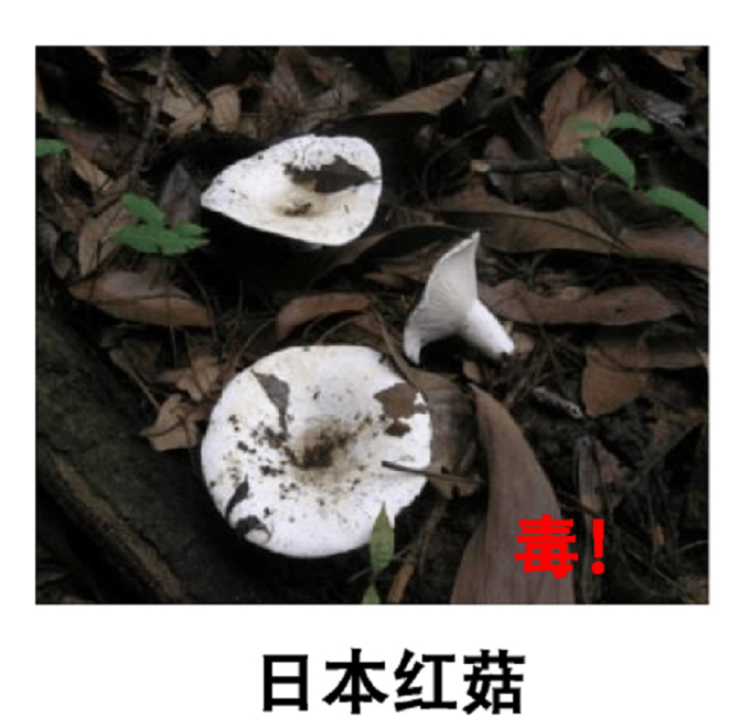 深圳一对夫妻深夜双双入院!一周内12人中招!近期很常见,千万别碰