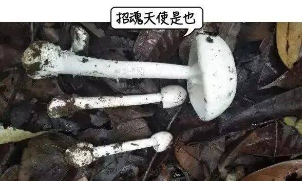 深圳一对夫妻深夜双双入院!一周内12人中招!近期很常见,千万别碰